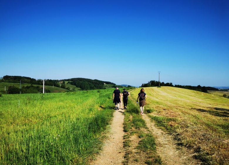 Circuit du Pin Bouchain