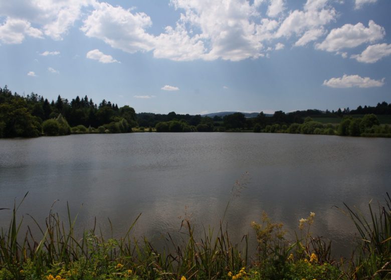 Etang de la plagnette