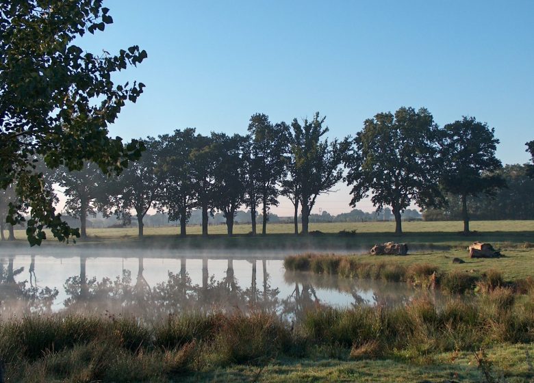 The ponds of the Cross and the Monks