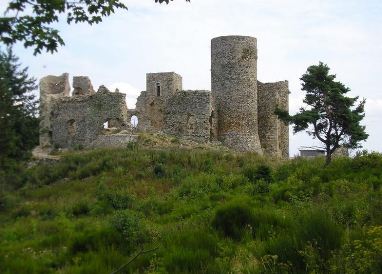 Picnic area of ​​the castle