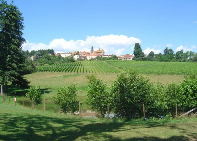 Domaine des Palais