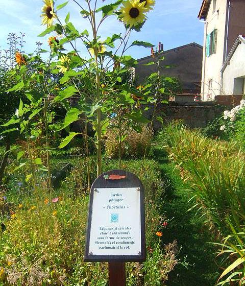 Middle Ages Garden