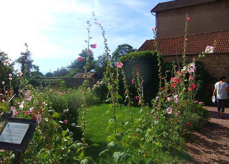 Middle Ages Garden