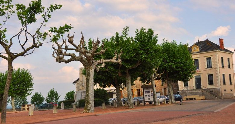 Marché hebdomadaire