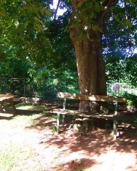 Remparts picknickplaats