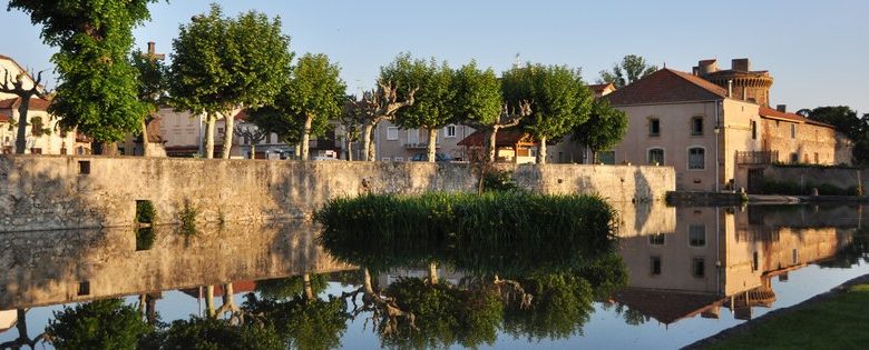 Communal Pond