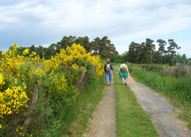 Le sentier botanique