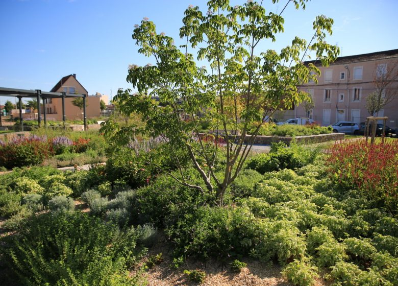 Jardin des senteurs