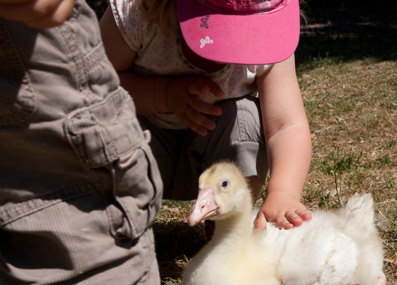 Ferme du Bessy