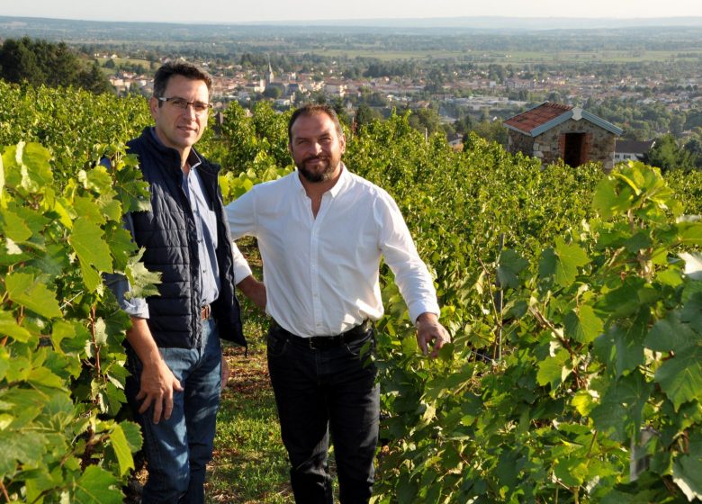 Domaine Désormière - Eric and Thierry Désormière