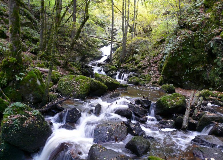 Discovering the Mysteries of the Monts de la Madeleine