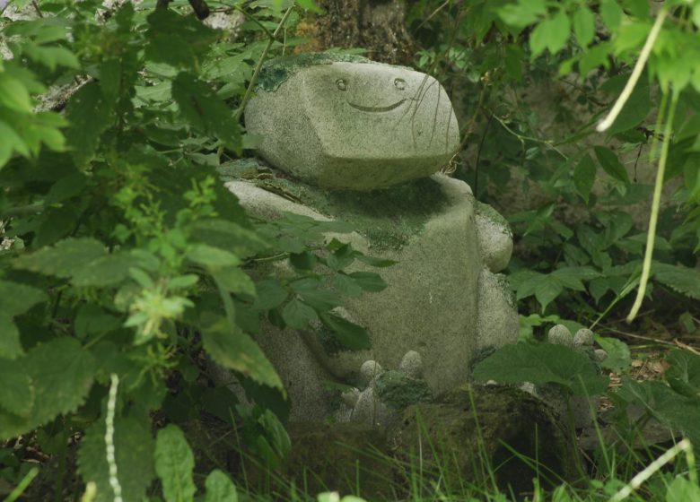 Entdecken Sie die Geheimnisse der Monts de la Madeleine