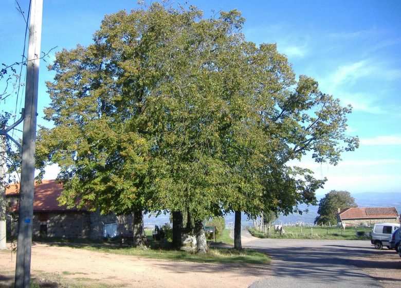 De kleine rondleiding door La Salette