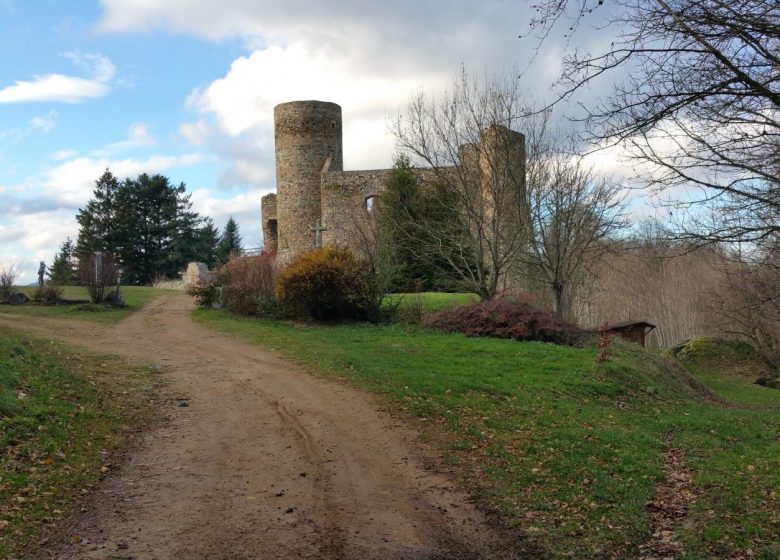 Picknickplaats van het kasteel