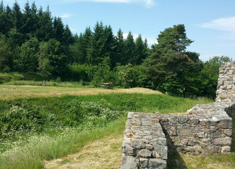 Picknickplaats van het kasteel