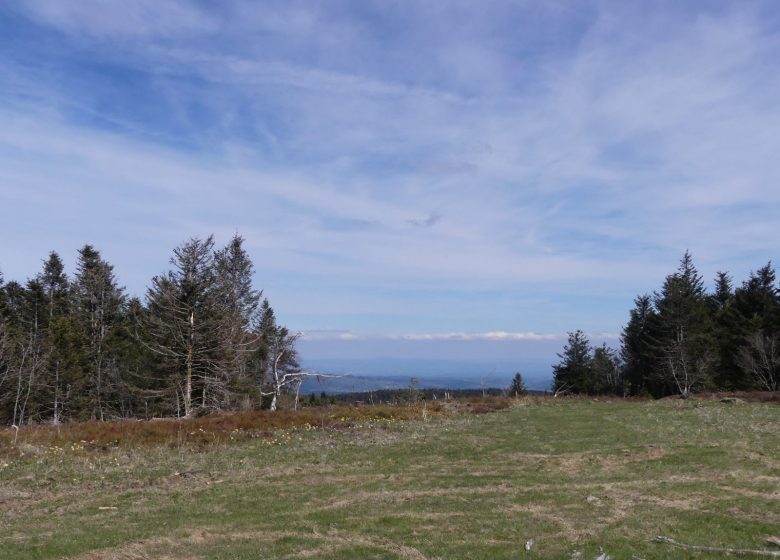 Puy de Montoncel