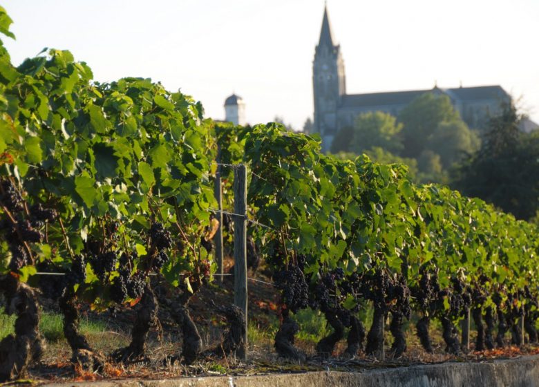 Domaine Désormière - Eric und Thierry Désormière