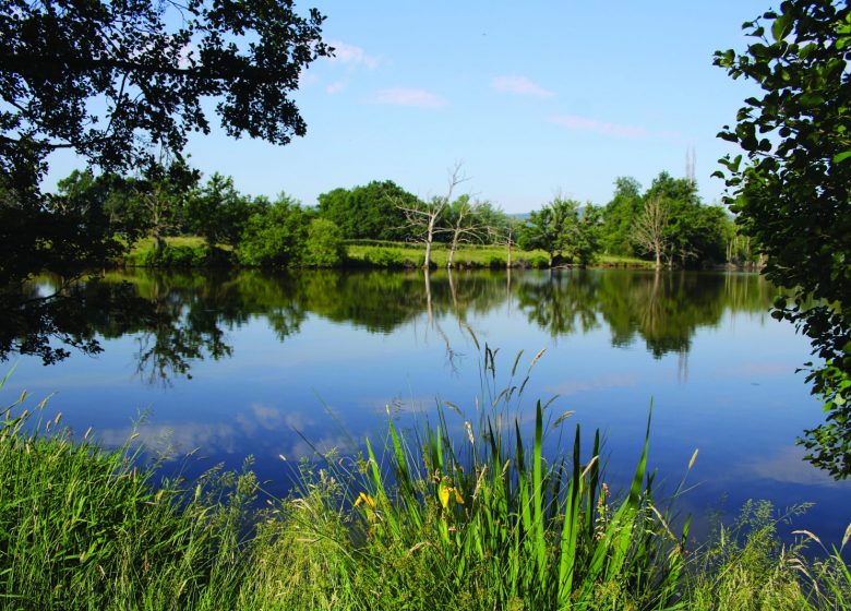 Wateren in het bos van Lespinasse