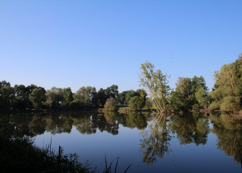 Bodies of water in the Forest of Lespinasse