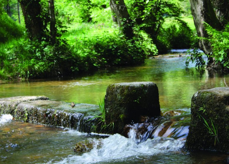 Le lavoir