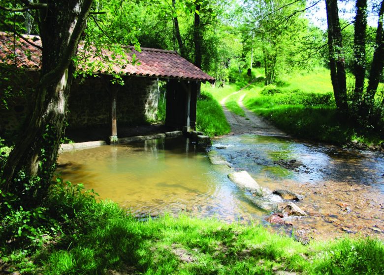 Le lavoir