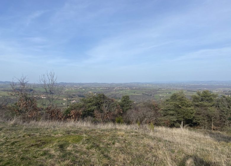 La borne du Puy Blanc