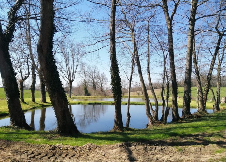 Village of Montagny