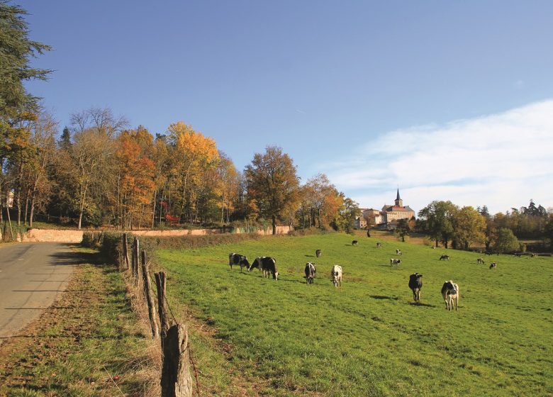 Village de Montagny