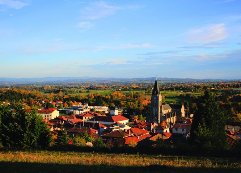 Village of Renaison