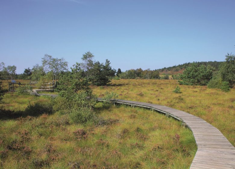 Het Plateau de la Verrerie