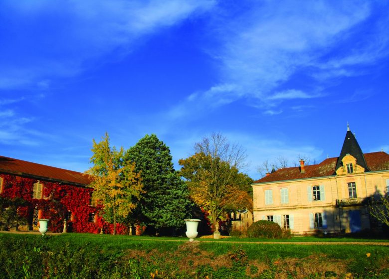 Village of Saint-Romain-La-Motte