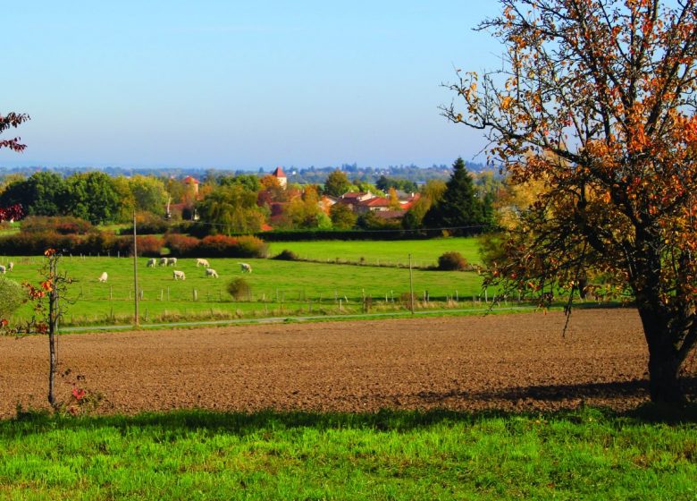 Village de Ouches