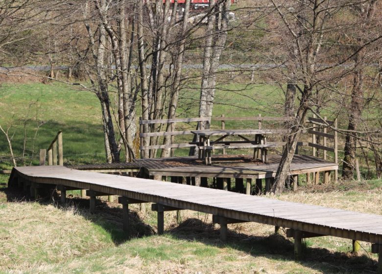 Picnic tables on stilts